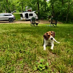 Tranquility Spring Campground