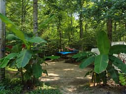 3 Creeks Camp and Nature Preserve
