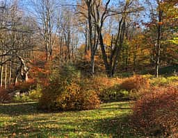 Pocono Cabin With No Name