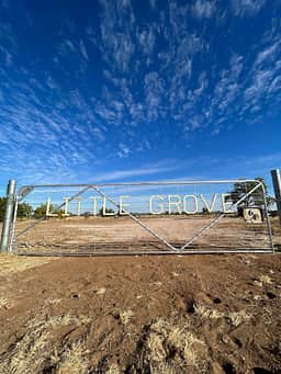 Little Grove
