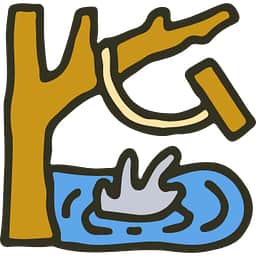 Campsites near swimming holes