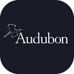The National Audubon Society × Hipcamp