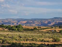 Bear Family Ranch, RV and Camping