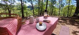 Breakfast with a summer view of the Allegheny Mountains of WV