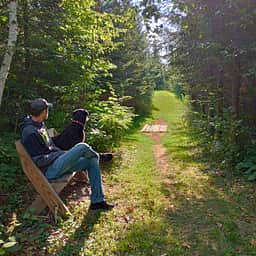 Hidden Pines