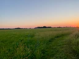 Little Spot on the Prairie