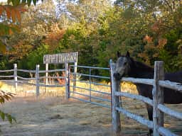 Camp Tonkawa Woods & Horse Camp