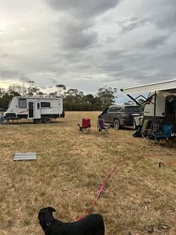Pappins Paddock