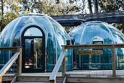 Exquisite Luxurious Glamping Dome