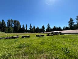 Hatzic Island Acres