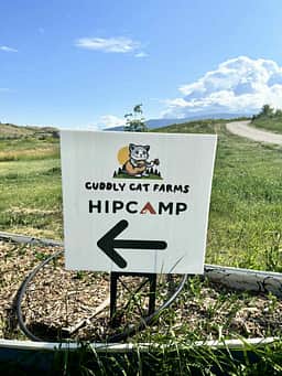 Cuddly Cat Farms