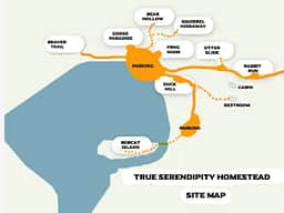 True Serendipity Homestead