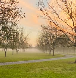 Fairbanks Pecan Grove 🔭