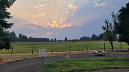 Down on the Farm