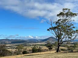 Prossers Ridge Richmond