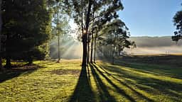 Morning misty sunrise