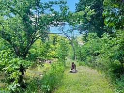 Yaku Campsite