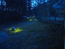 In the evenings you can listen to the ducks and geese argue as they settle into bed