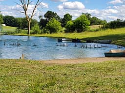 Holcombe Family Farms