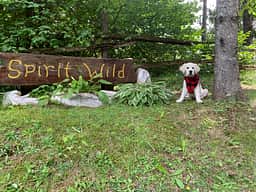 Spirit Wild Estate