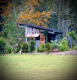 Yabba Creek Farm