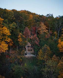 Highland Cow Off-Grid Treehouse