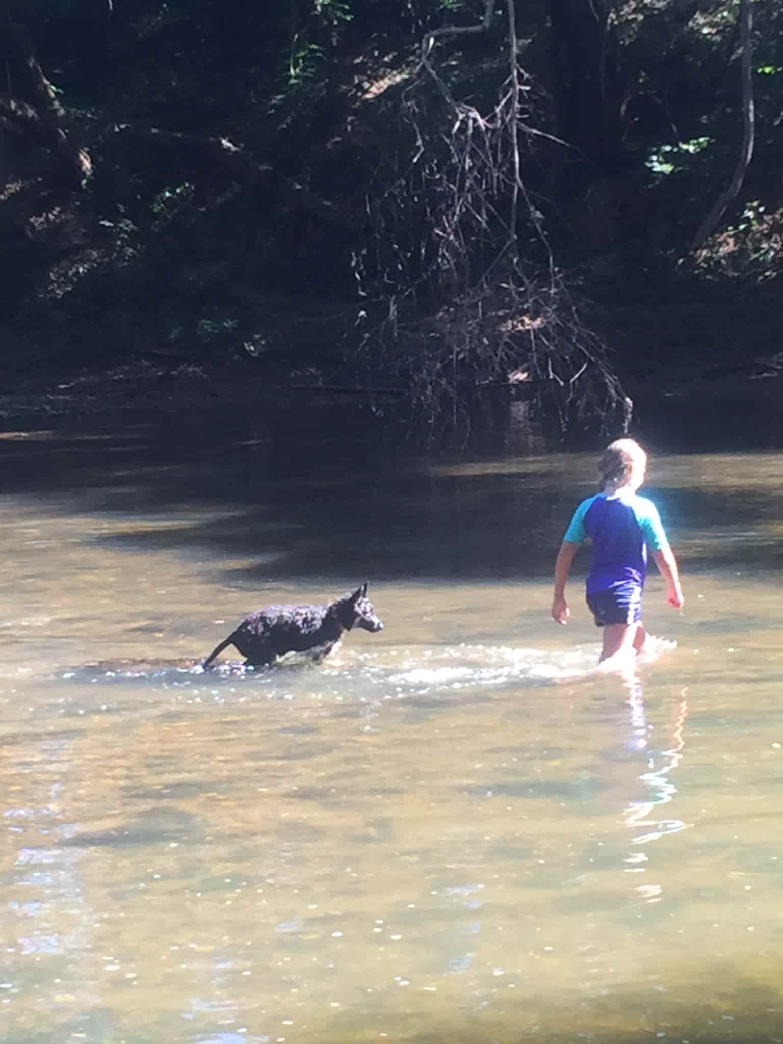 Down by the River