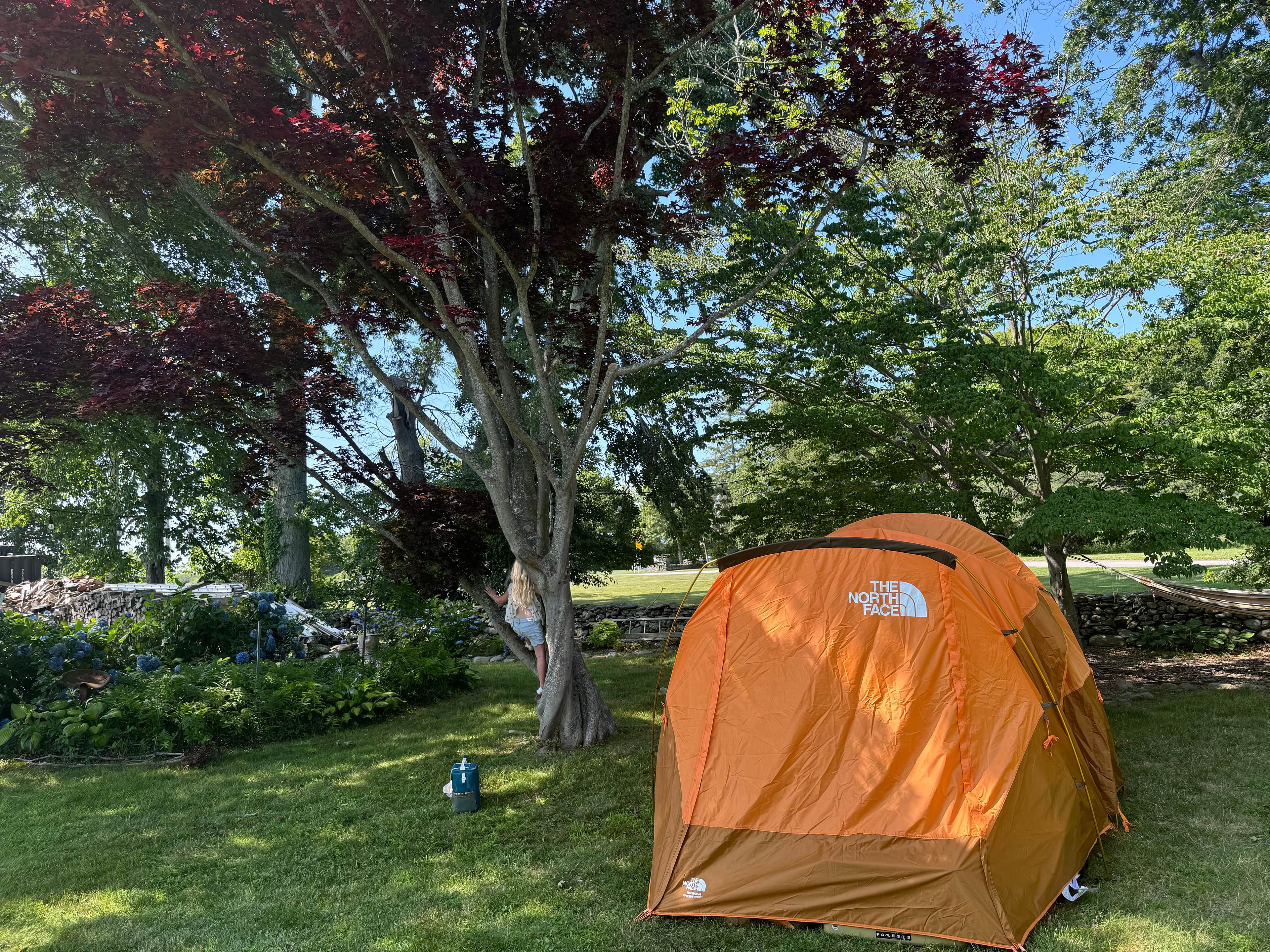 Harlow Hill
