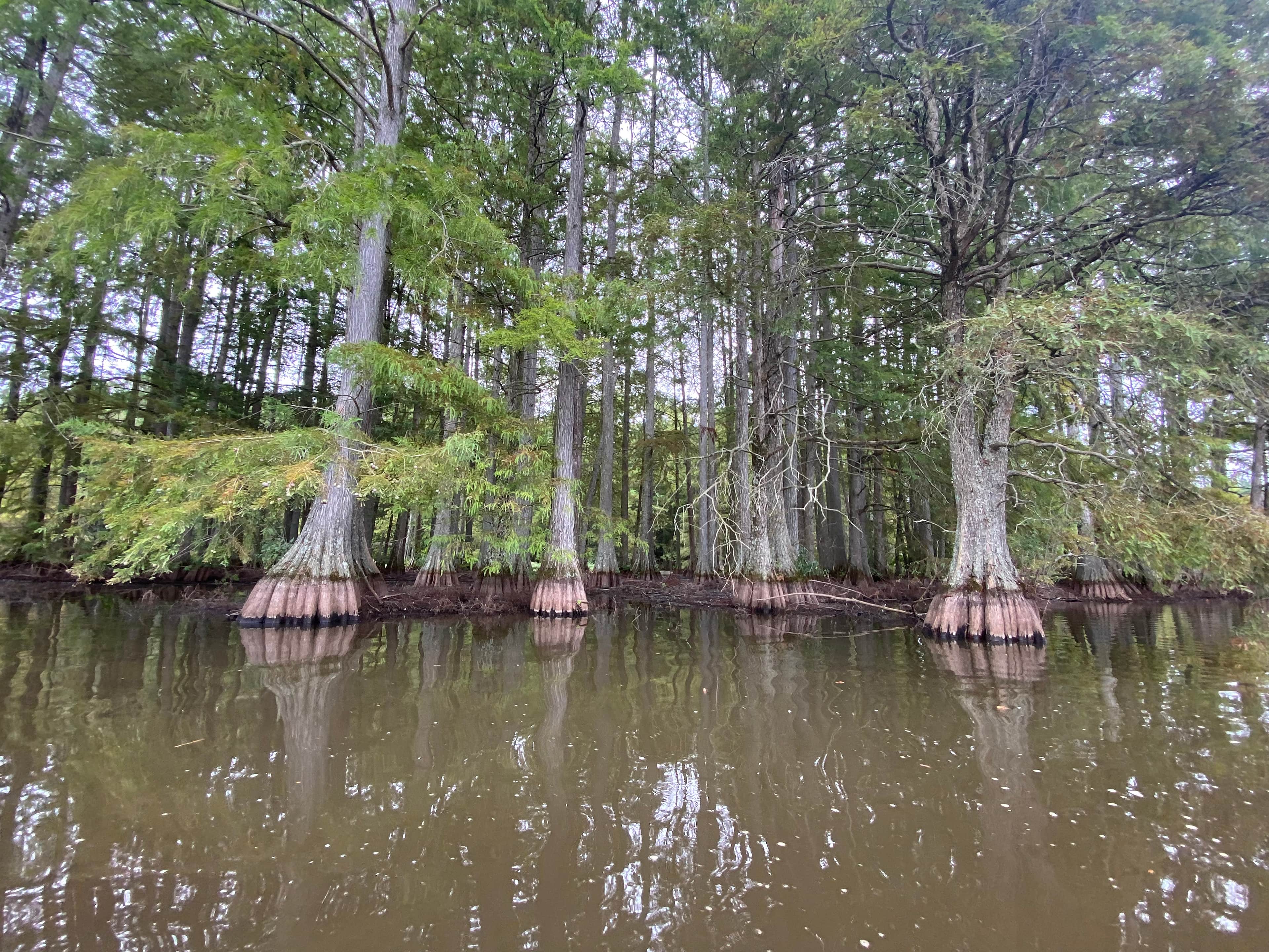 Trap pond! 