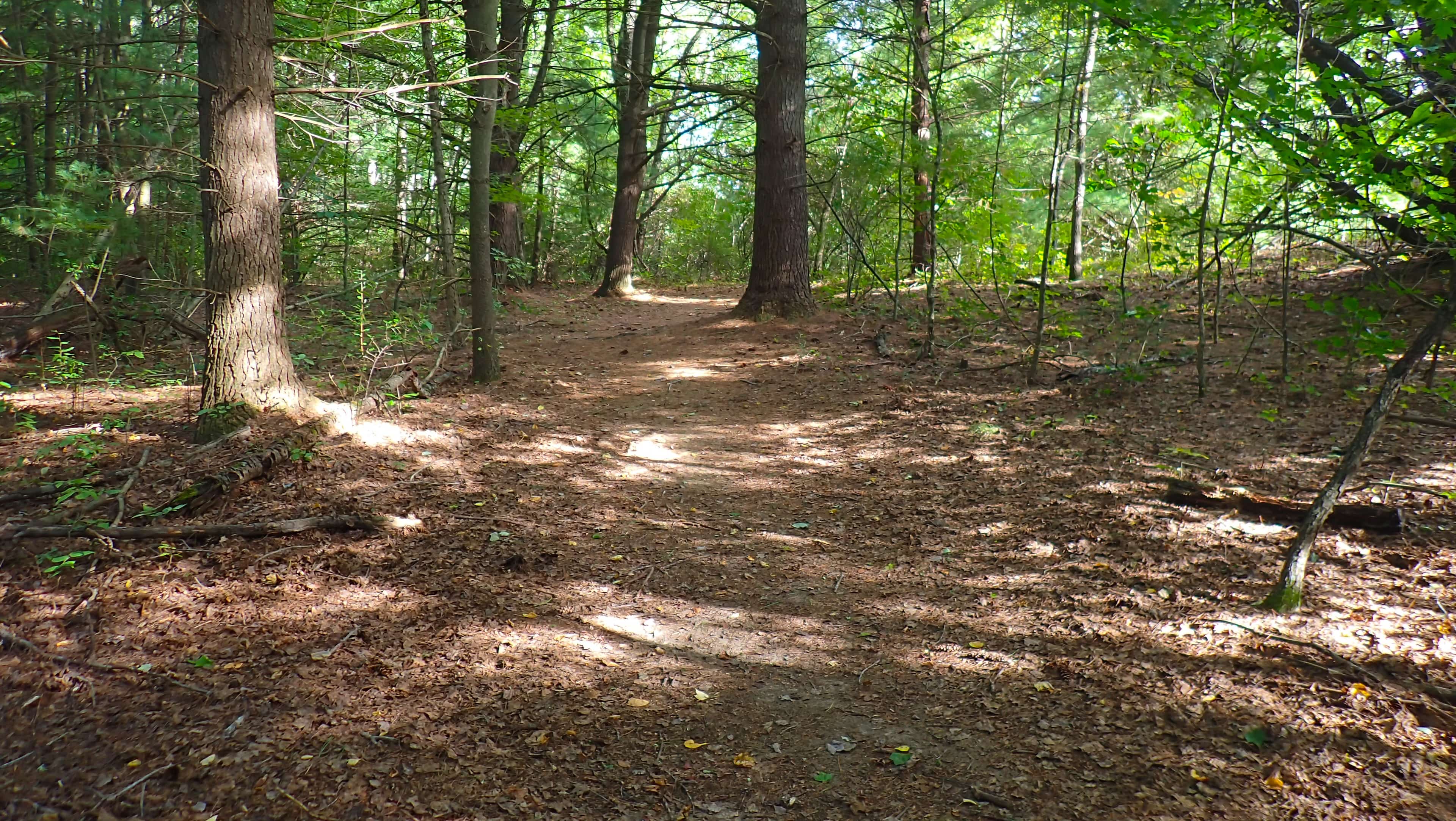 Wide, clear paths, easy to follow