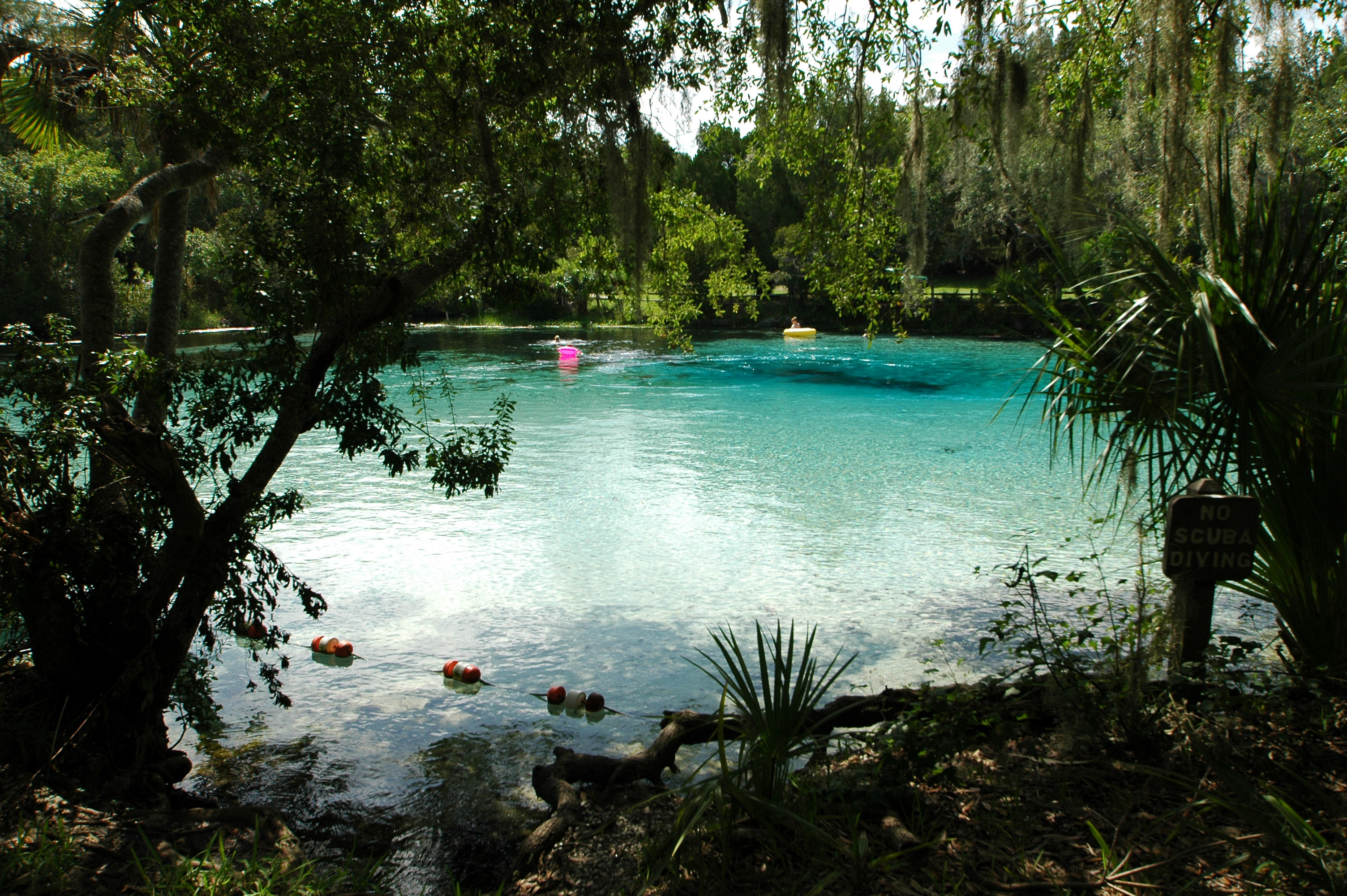 Ocala