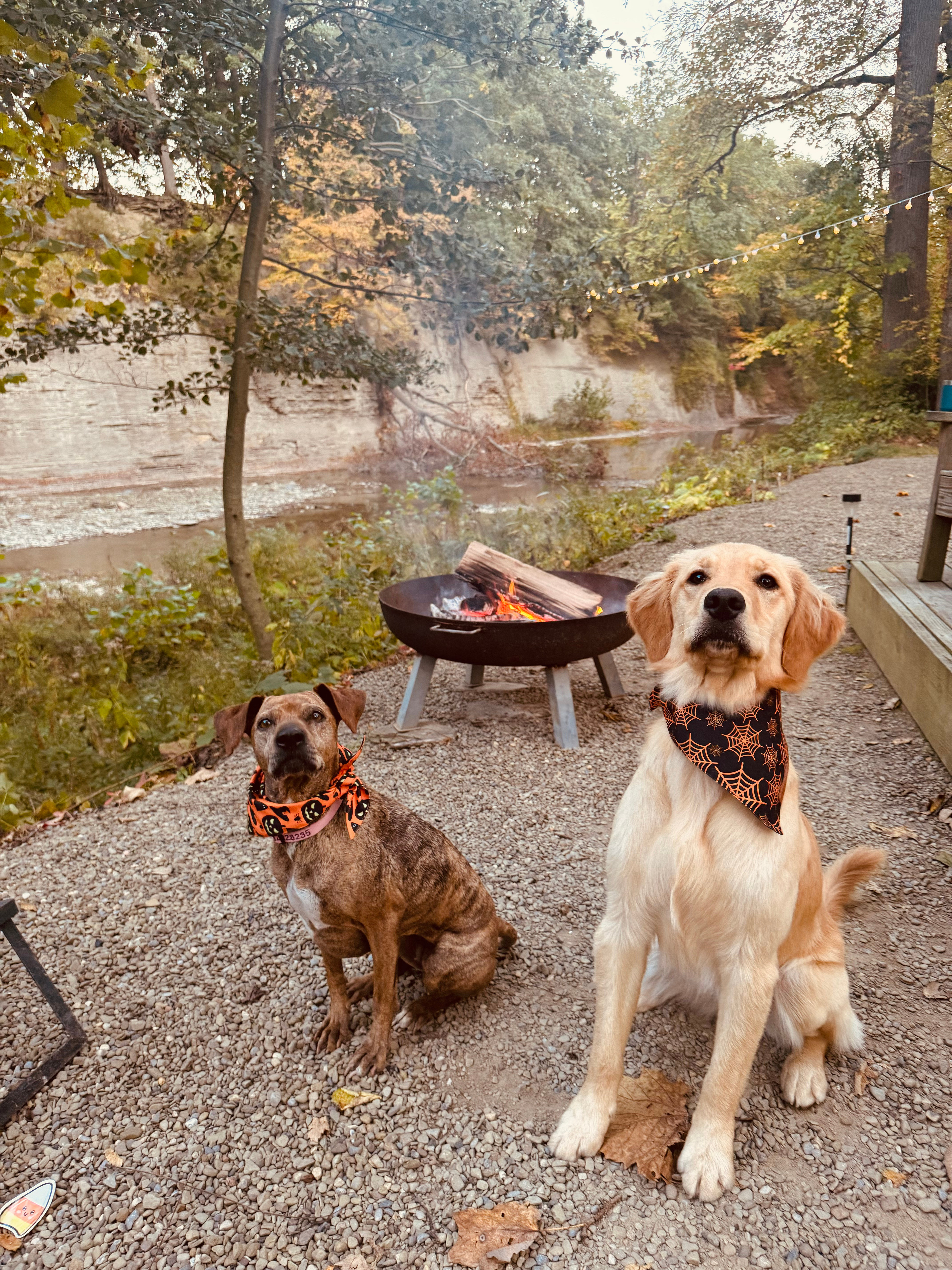 Elk Valley Creekside