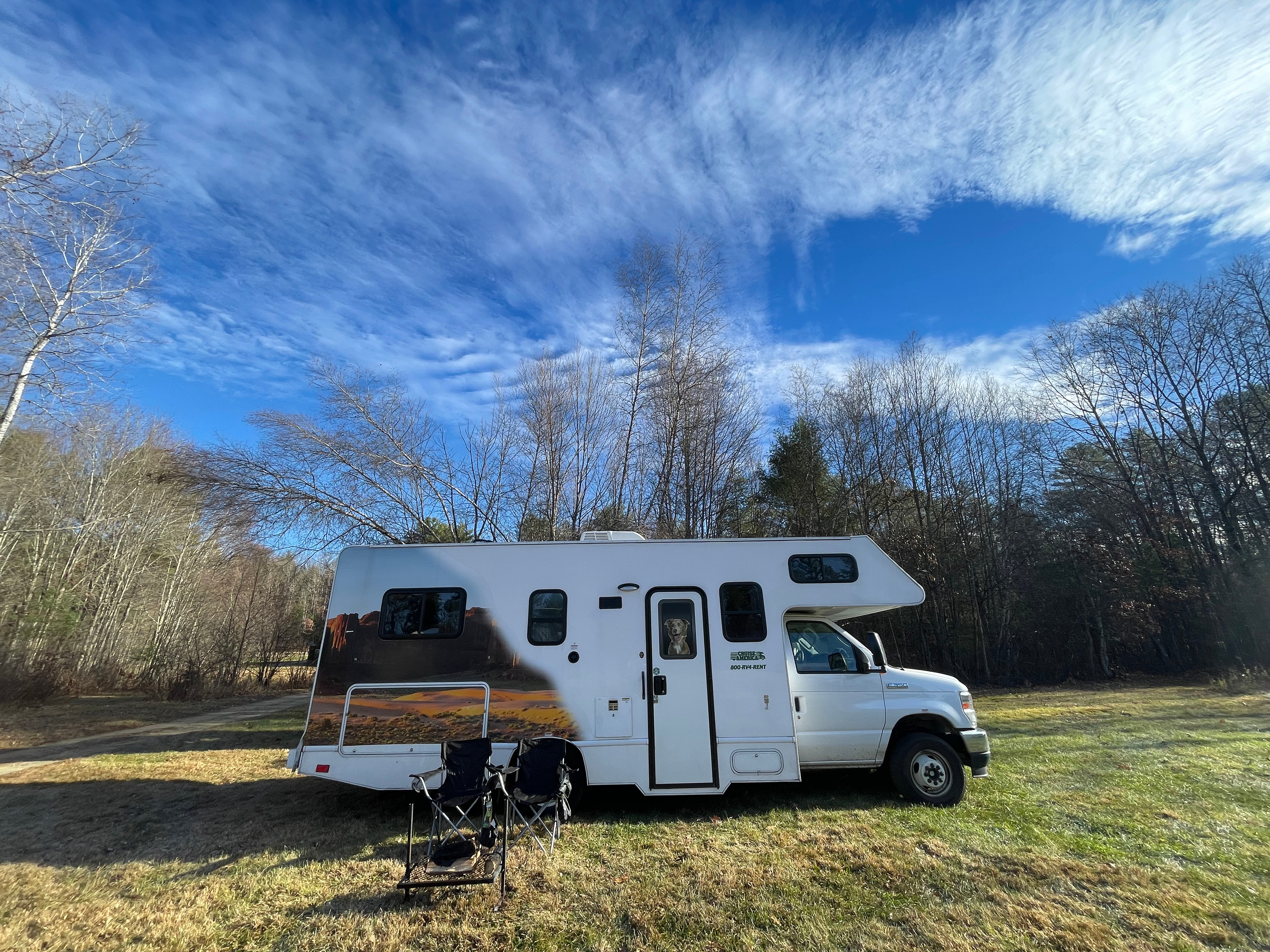 Camp Frogginton