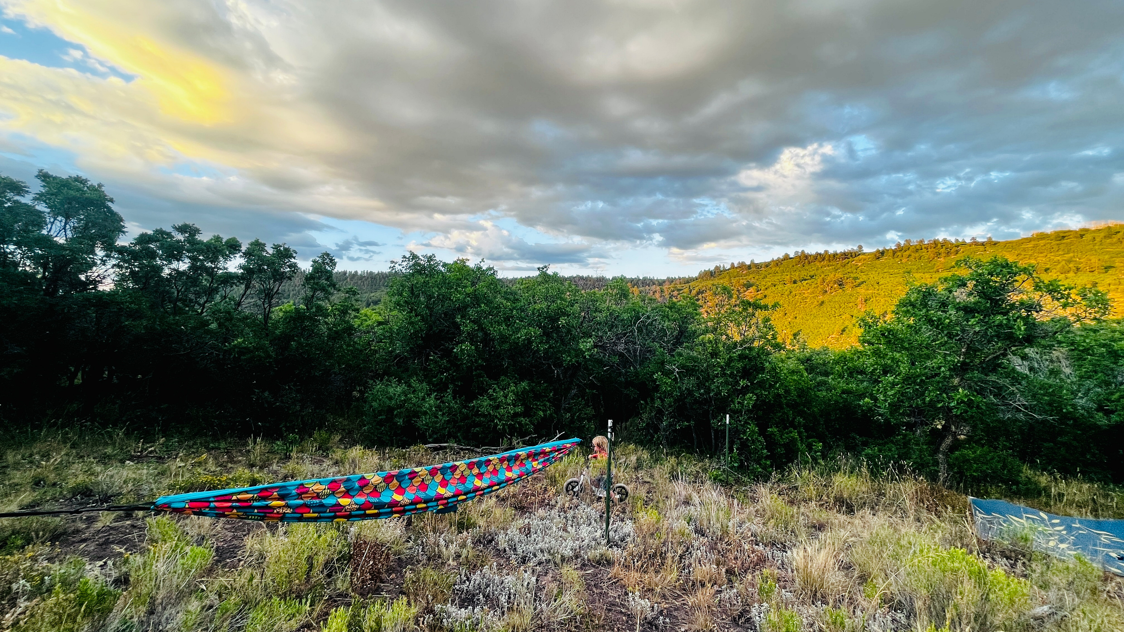Hartwork Ranch