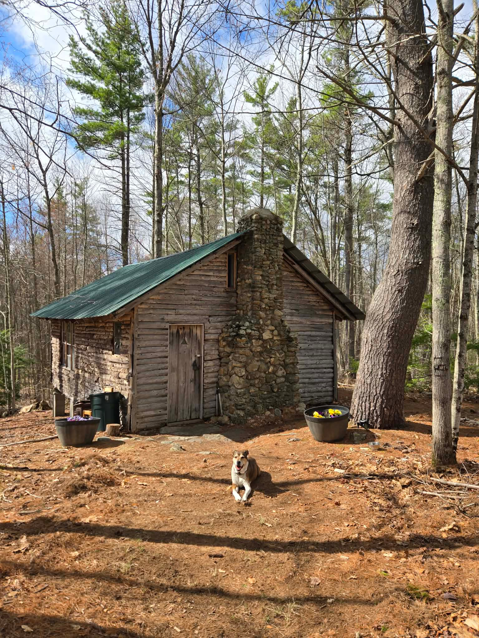 Wapack Trail Cabin