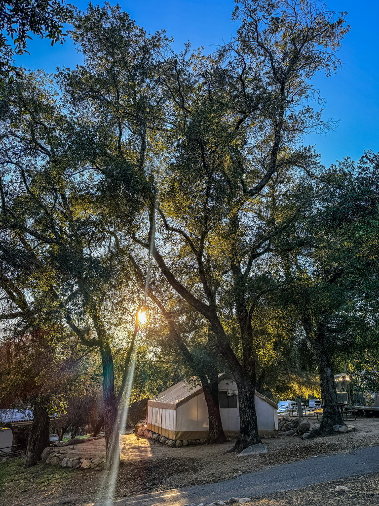 Basecamp Palomar