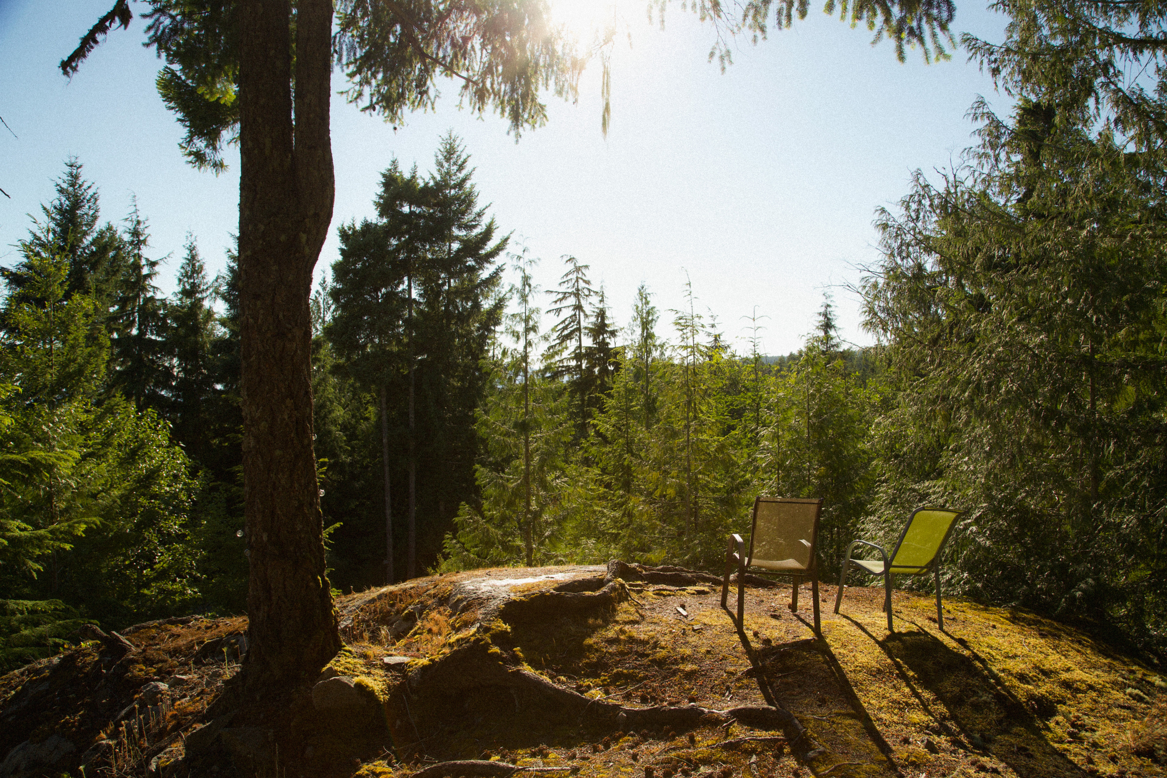 Tiny Secrets Farm & Retreat