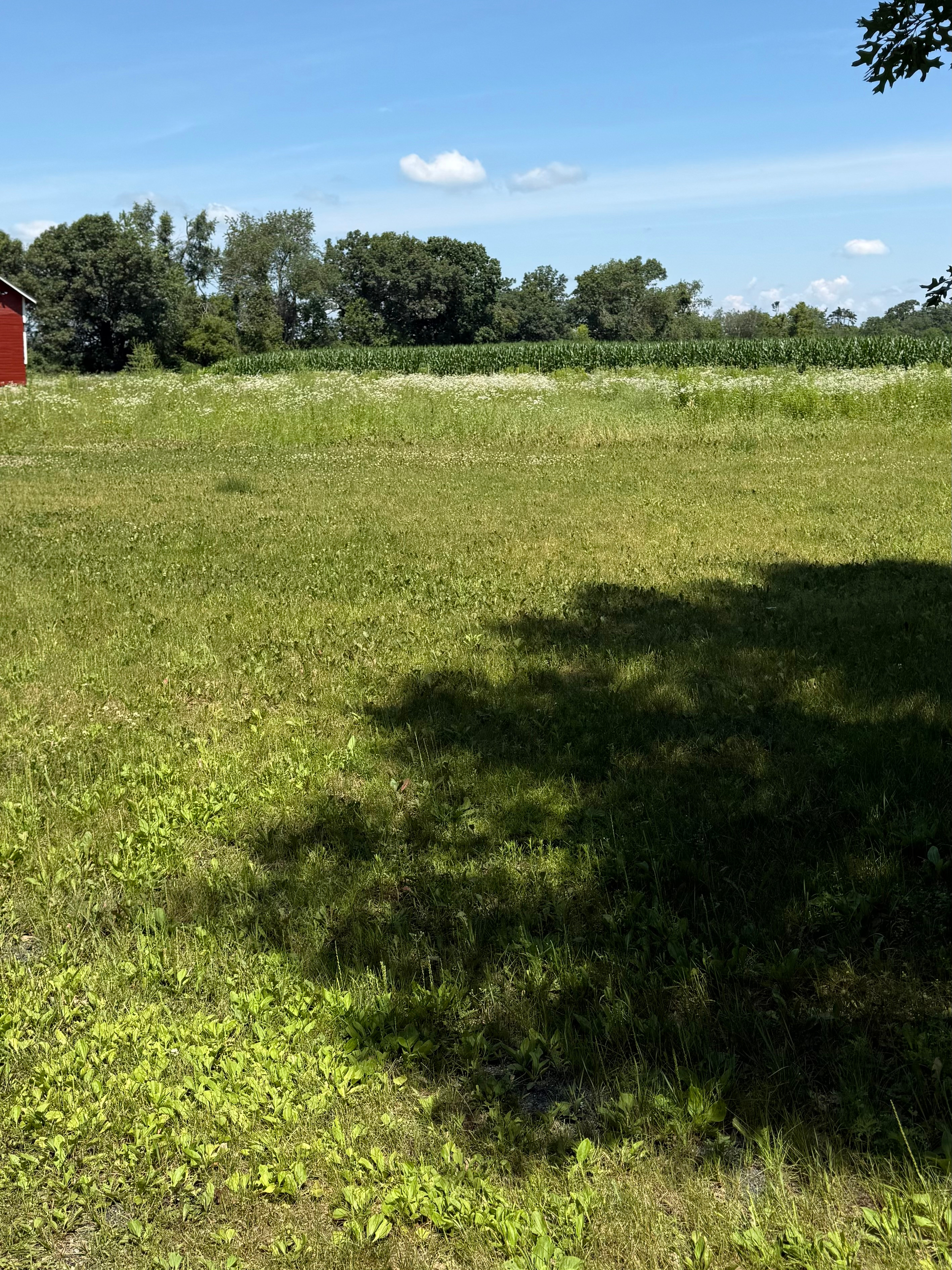 Whispering Buzz & Breeze Camp