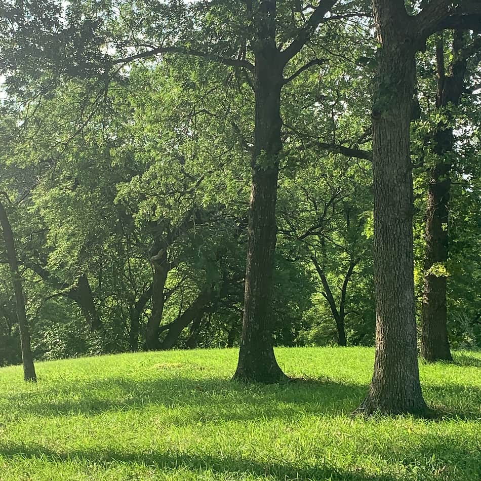 Typical scene on the property