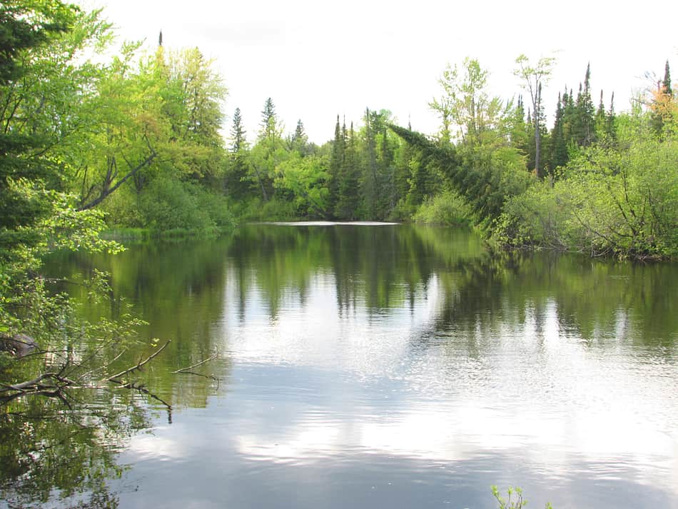 Bonnechere Provincial Park