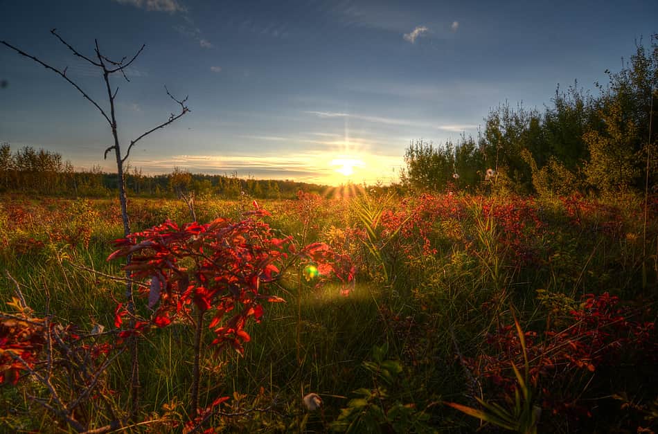 Miquelon Lake Provincial Park