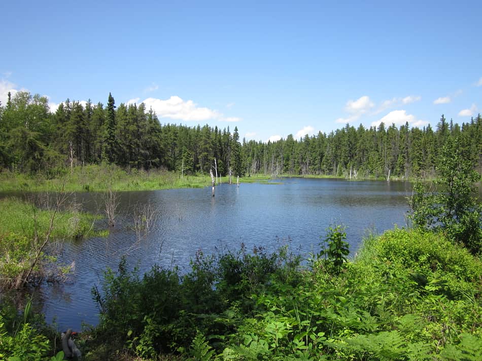 Pointe-Taillon National Park