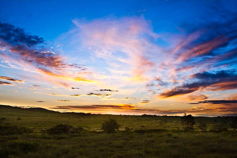 Yuraygir National Park