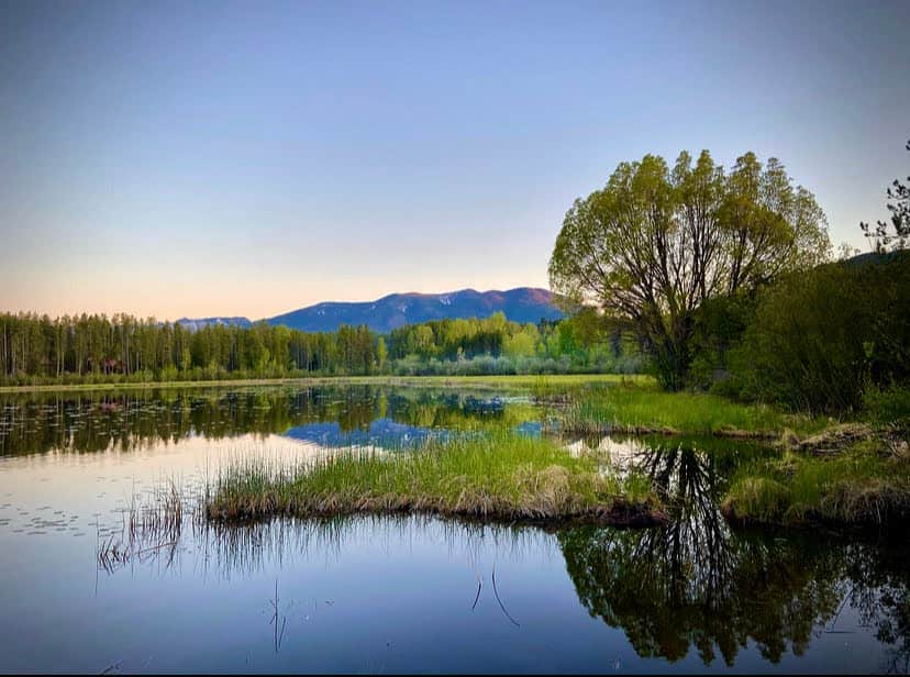 Hayden Lake