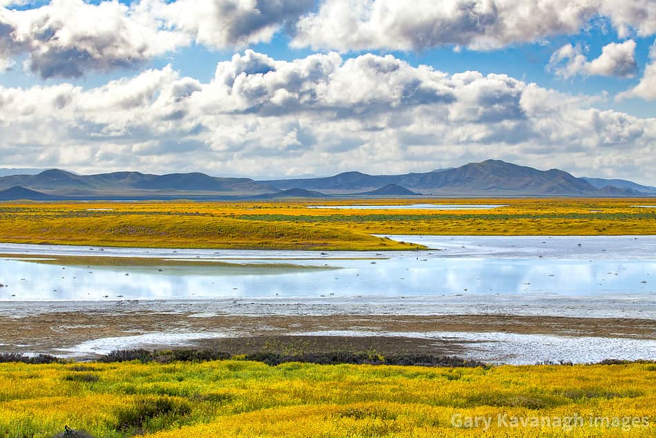Soda Lake