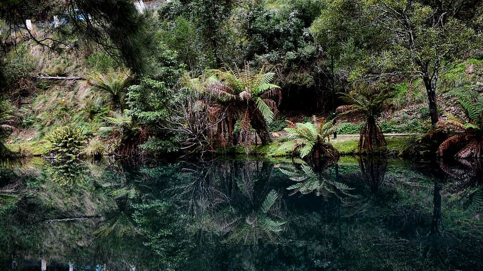 Blue Lagoon