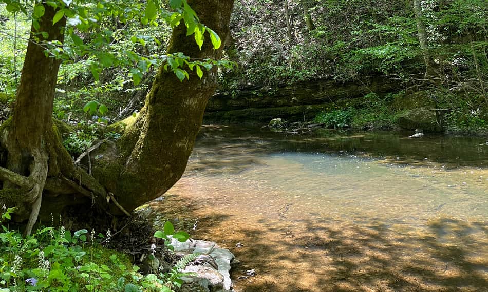 One of the two rivers on the property. This one flows alongside campsite 2 and campsite 4. All guests have hiking access to enjoy the rivers!