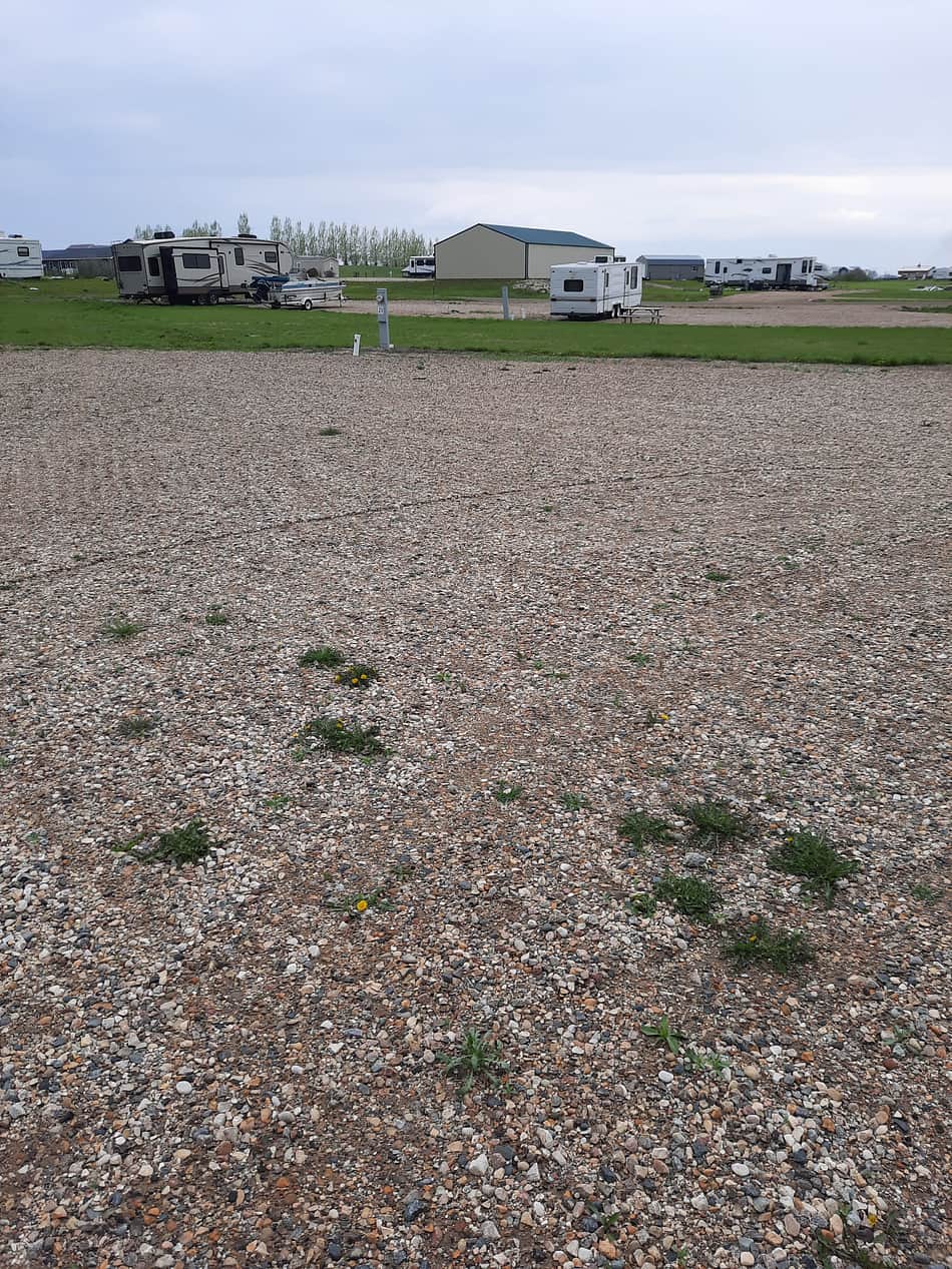 Bottineau