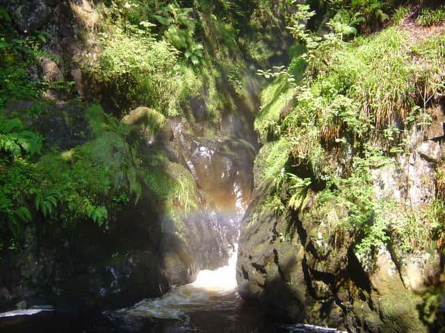 Aira Force