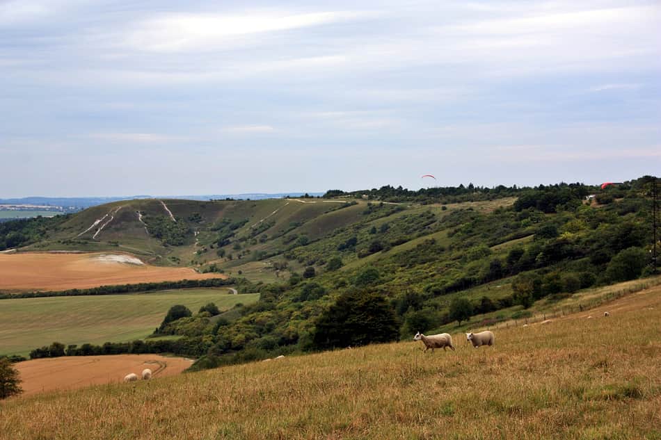Dunstable Downs